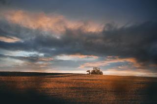 Plzeňský kraj se zapojí do EXPO 2025 jako jeden z mála s vlastním programem v Českém pavilonu. Dny Plzeňského kraje proběhnou 2.–7. září 2025, ©Plzeňský kraj