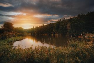 Téma a celková koncepce světové výstavy EXPO 2025 OSAKA, KANSAI, JAPAN mají za cíl inspirovat návštěvníky k zamyšlení nad tím, jak chtějí žít a jak co nejlépe naplnit svůj osobní potenciál, ©Plzeňský kraj